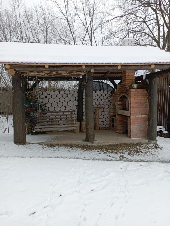 Sadyba Sunny House Pilipets Exterior photo